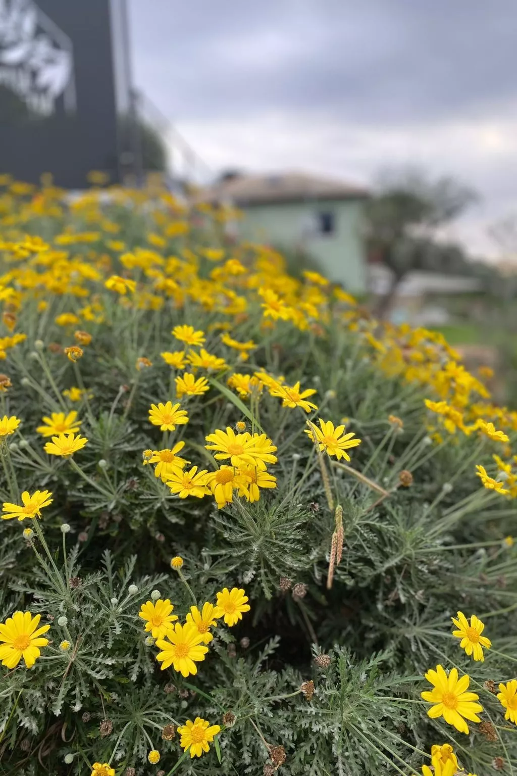 Ein-Zimmer-Wohnung 'Villa Camilla-Buiten