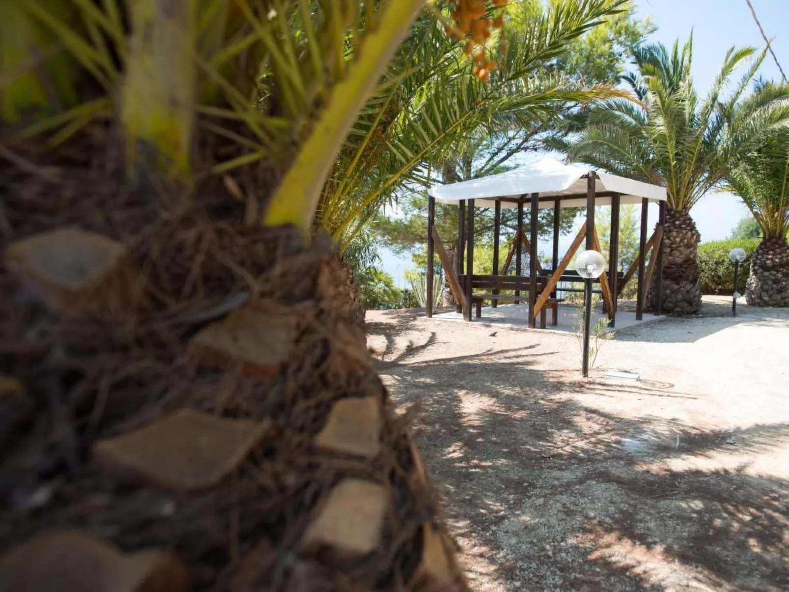 Wohnung in Sciacca mit Grill und Garten - Image-tags.info