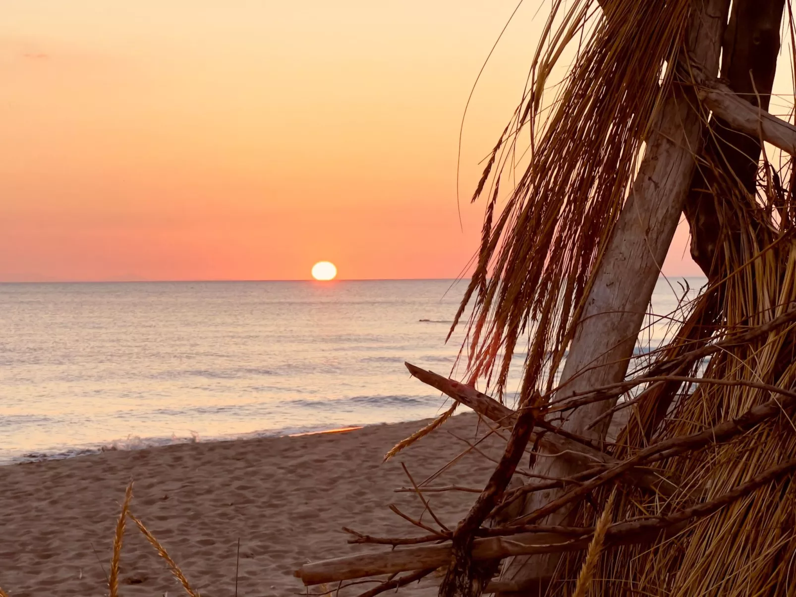 Wohnung Alborense-Buiten