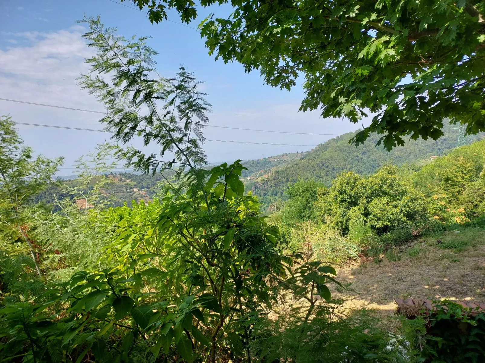 'Casa Peppina' mit Terrasse-Buiten