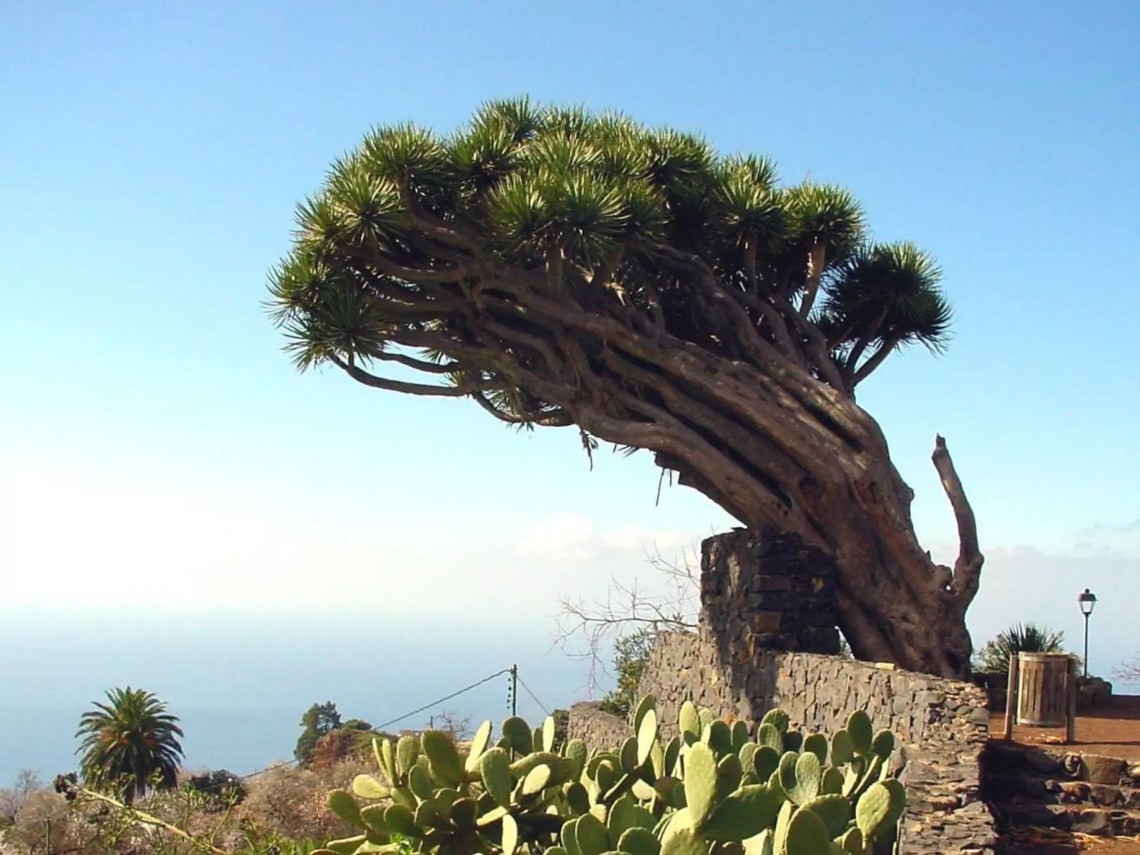 Ruhige Finca Topo del Drago mit Meerblick-Buiten