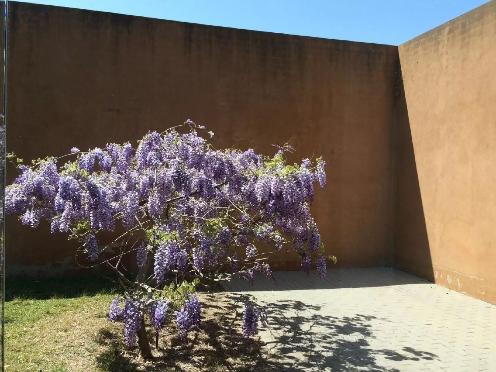 Design Vila mit Pool-Image-tags.info