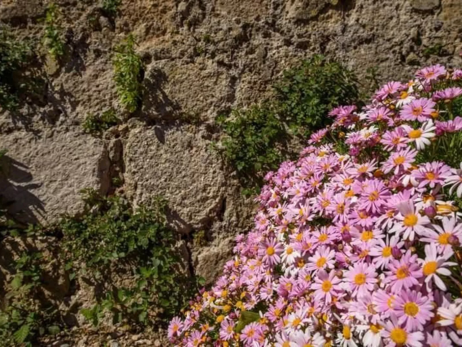 Das Haus von Macarena-Image-tags.info