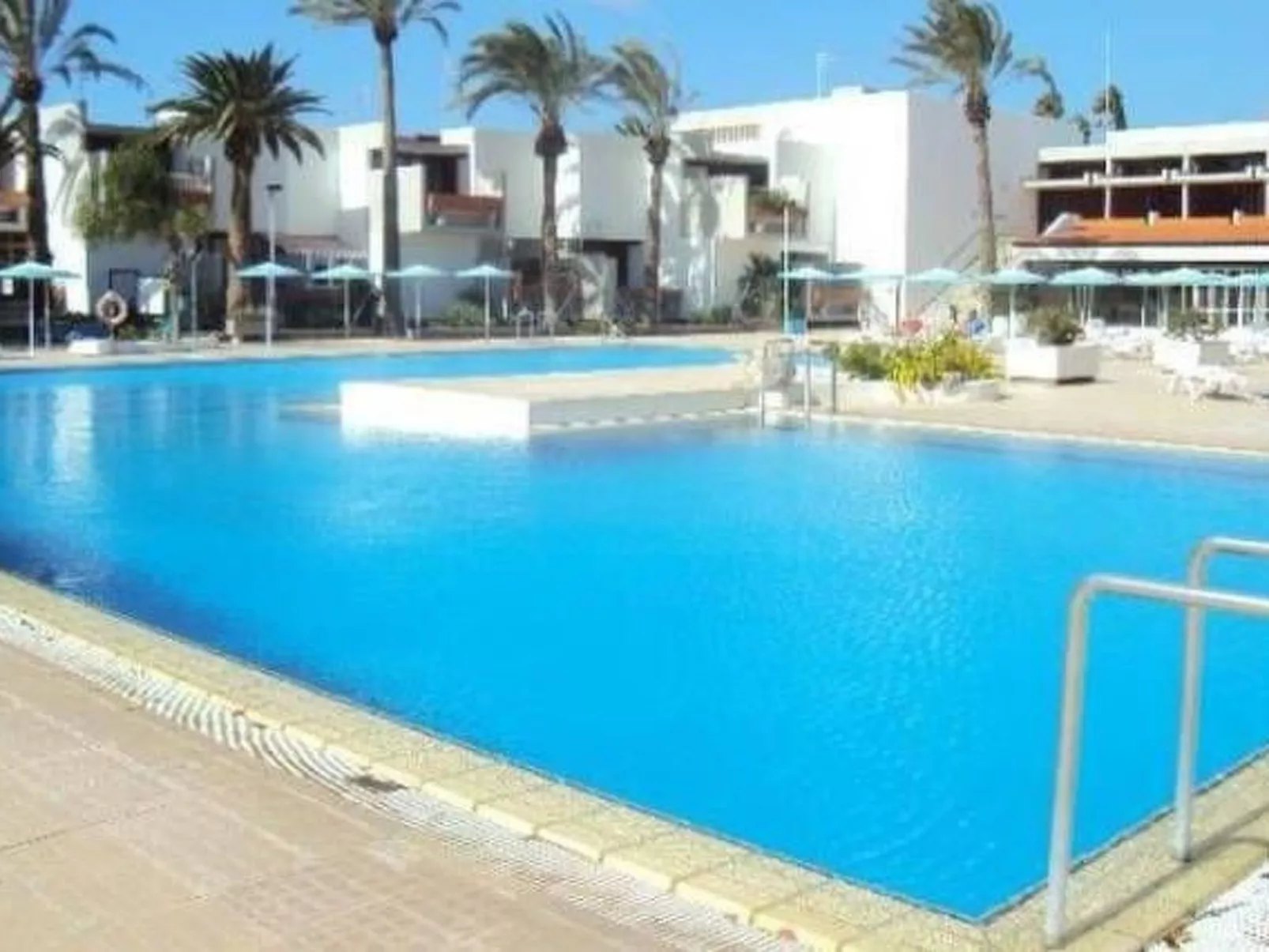 "Primavera-Image-tags.info