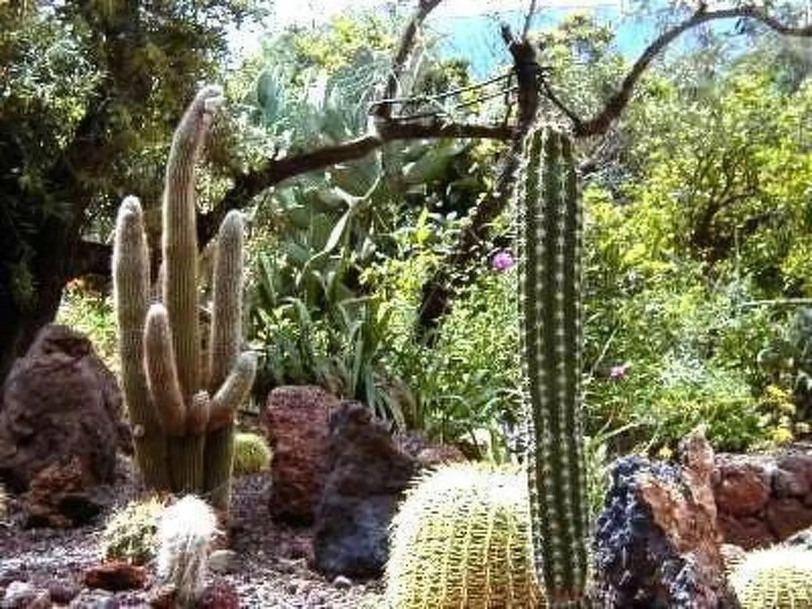 Schönes Steinhaus El Palmeral del Valle-Buiten