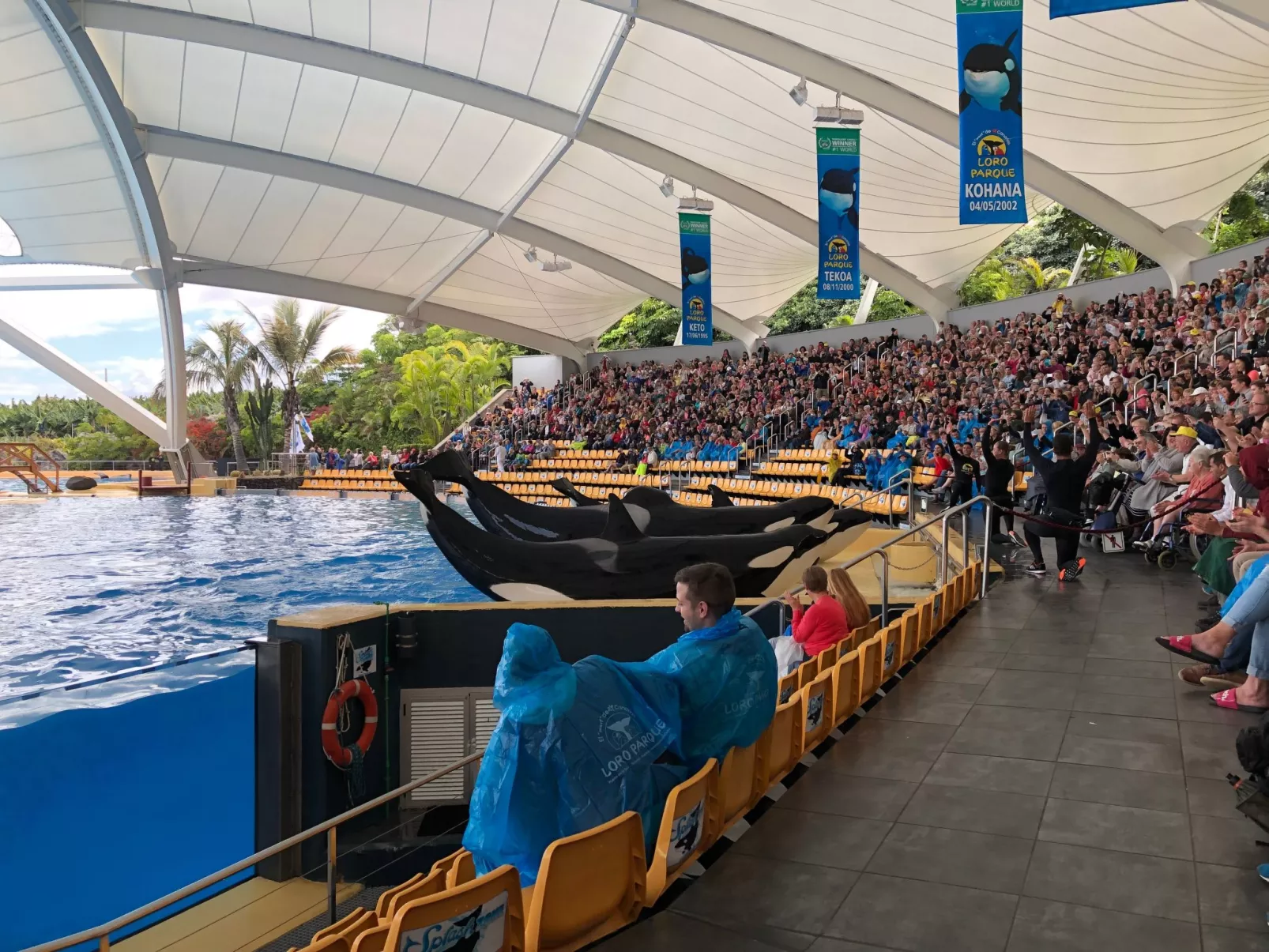 Apartment La Arena - Image-tags.info