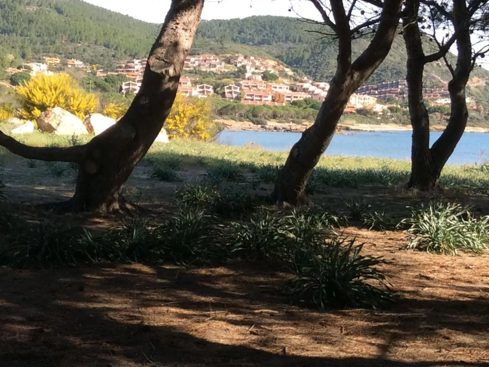 Gemütliches Ferienhaus mit Kamin in Porto Tramatzu-Buiten