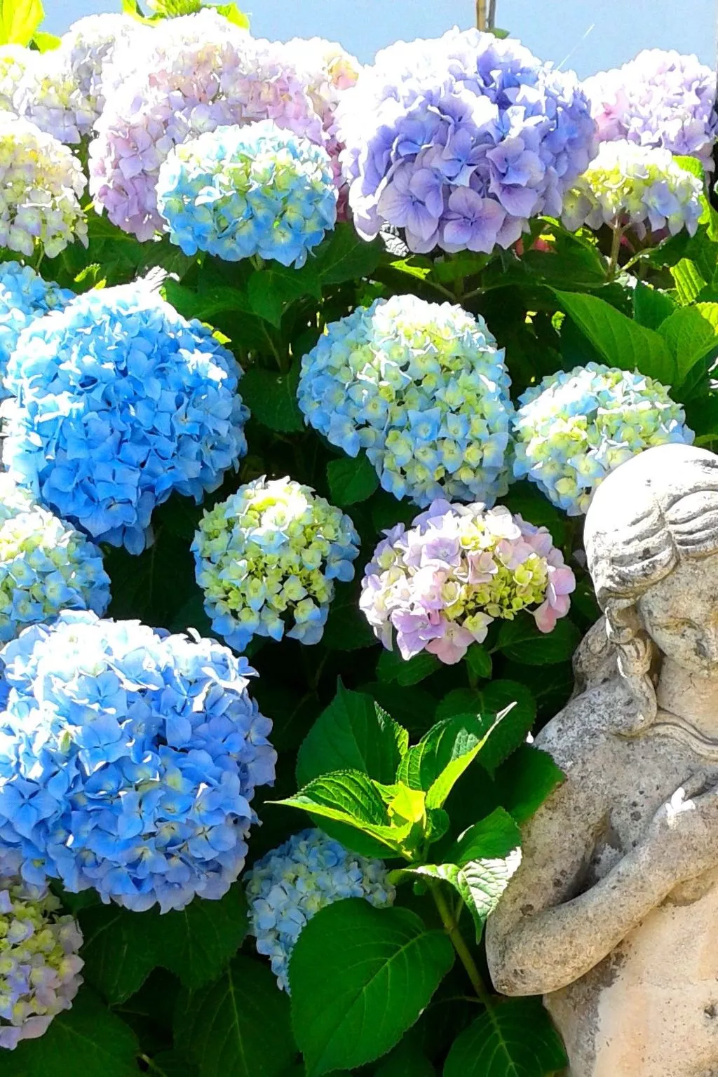 La Terrazza - Image-tags.info