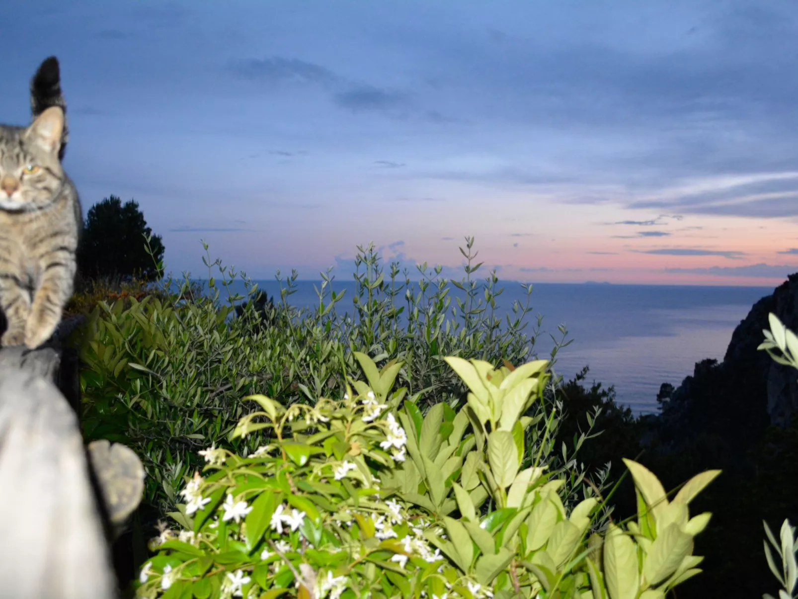 Mit Garten, Grill und Terrasse-Buiten