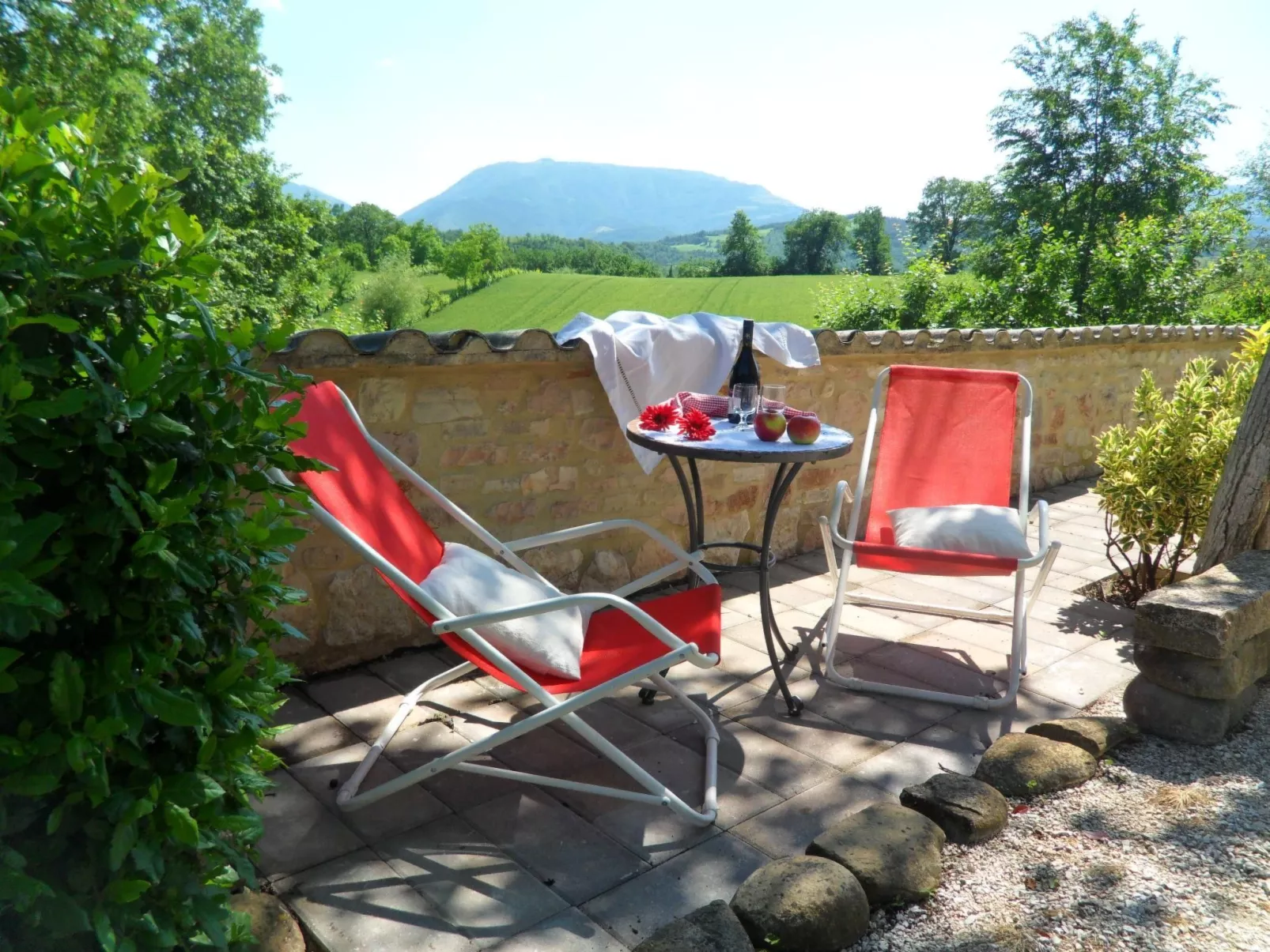 Flacher Flieder-Buiten