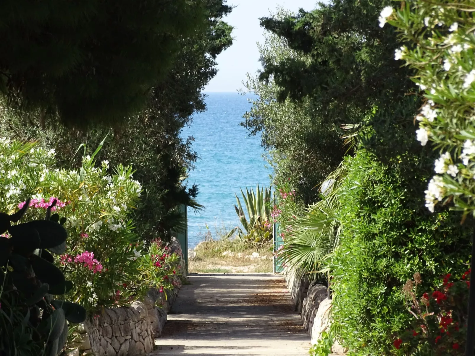 Kleines ruhiges Ferienhaus direkt am Meer-Buiten