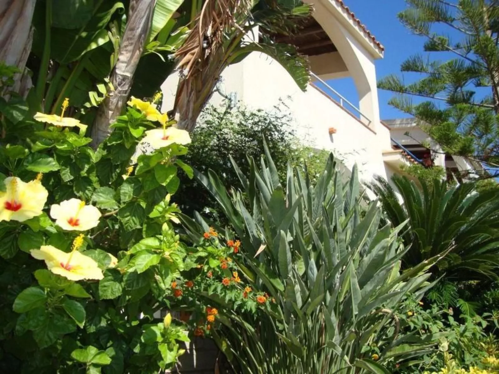 Renella' Wohnung mit Wasserblick - Image-tags.info