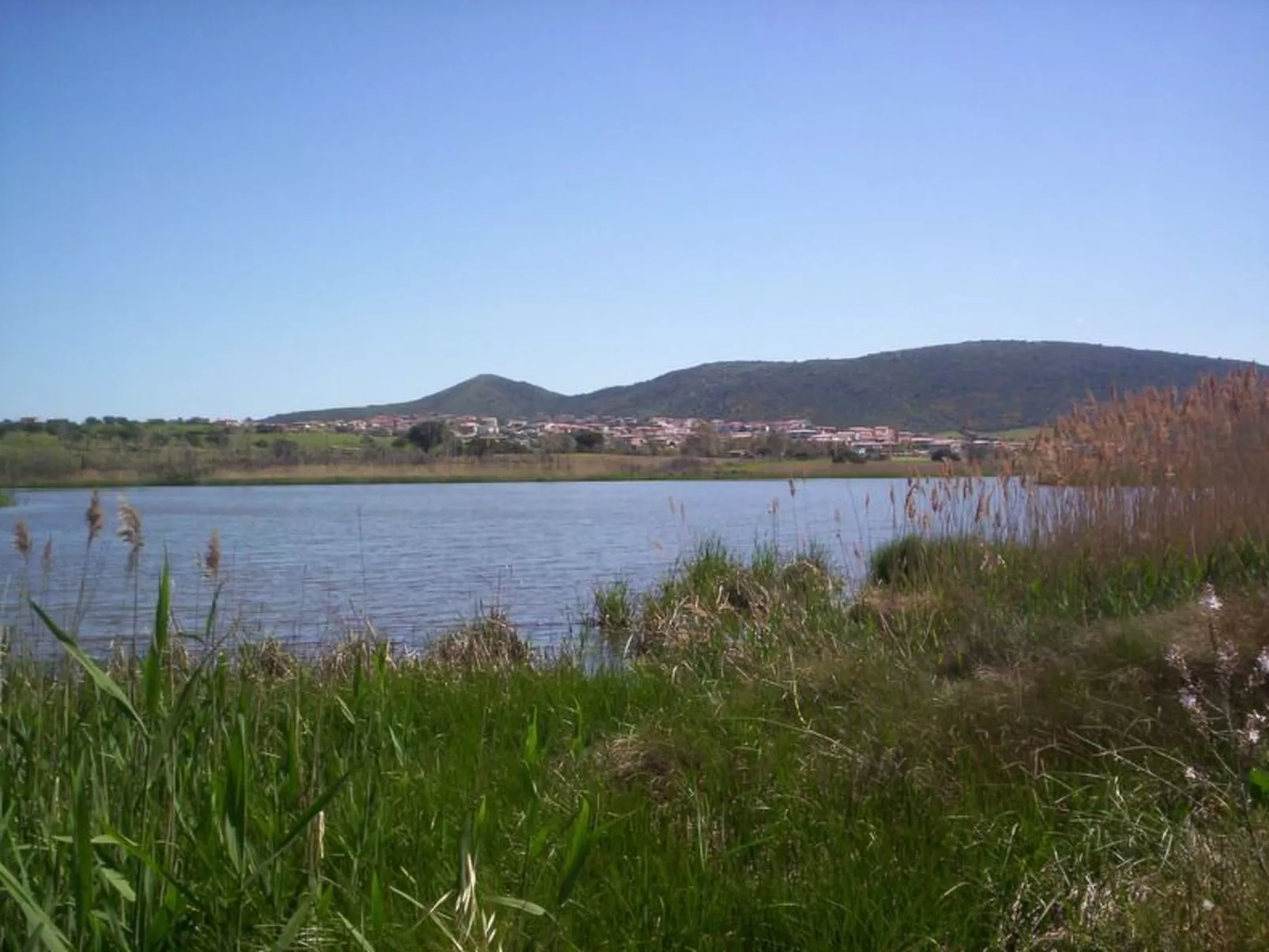 Haus Le Rose-Image-tags.info