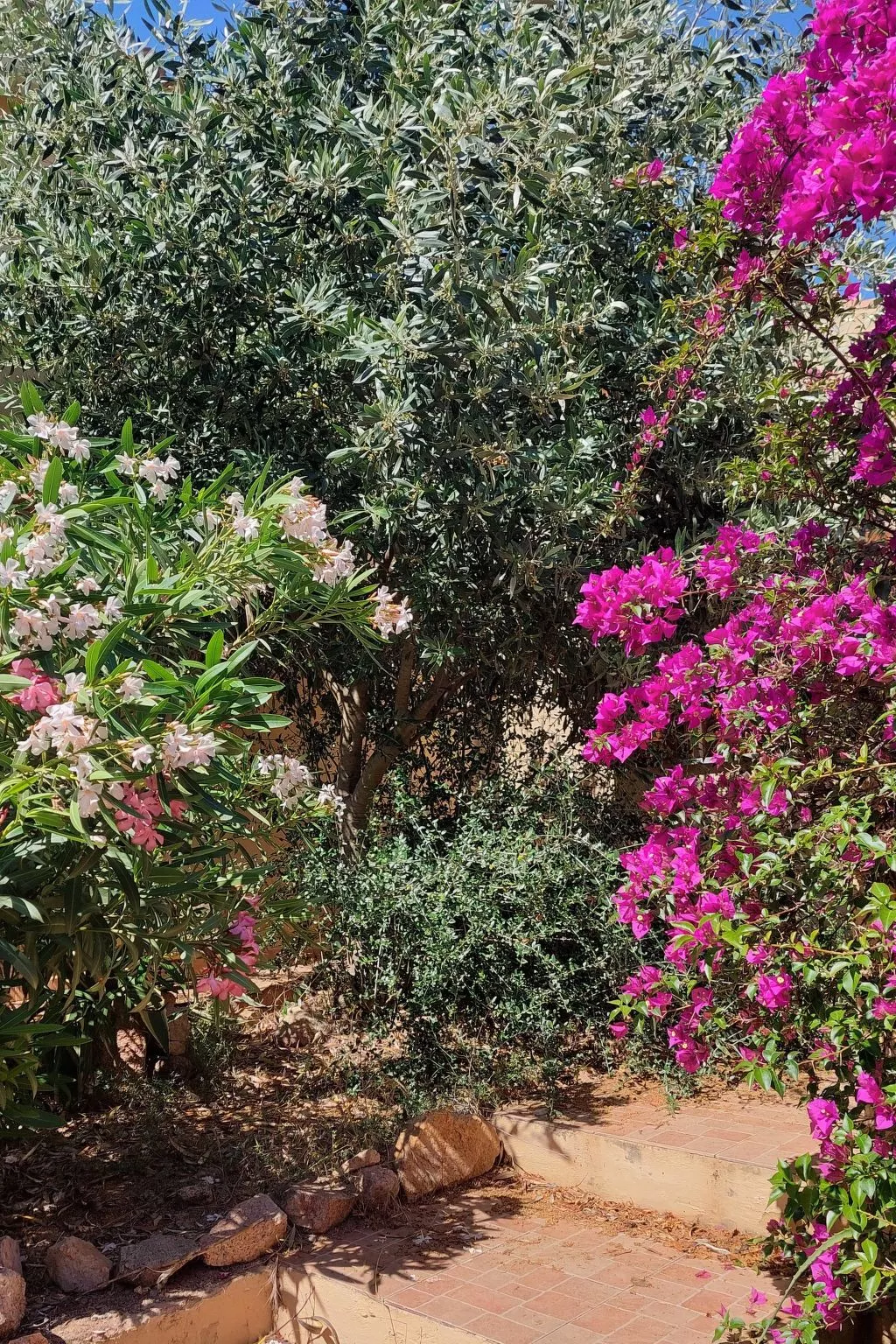 Terrazza Paradiso-Image-tags.info