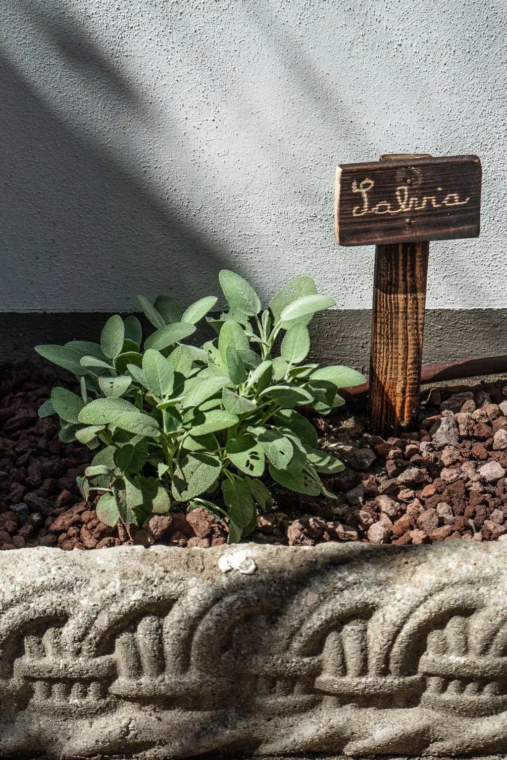 Wohnung in Marina Di Pisa mit Garten-Image-tags.info