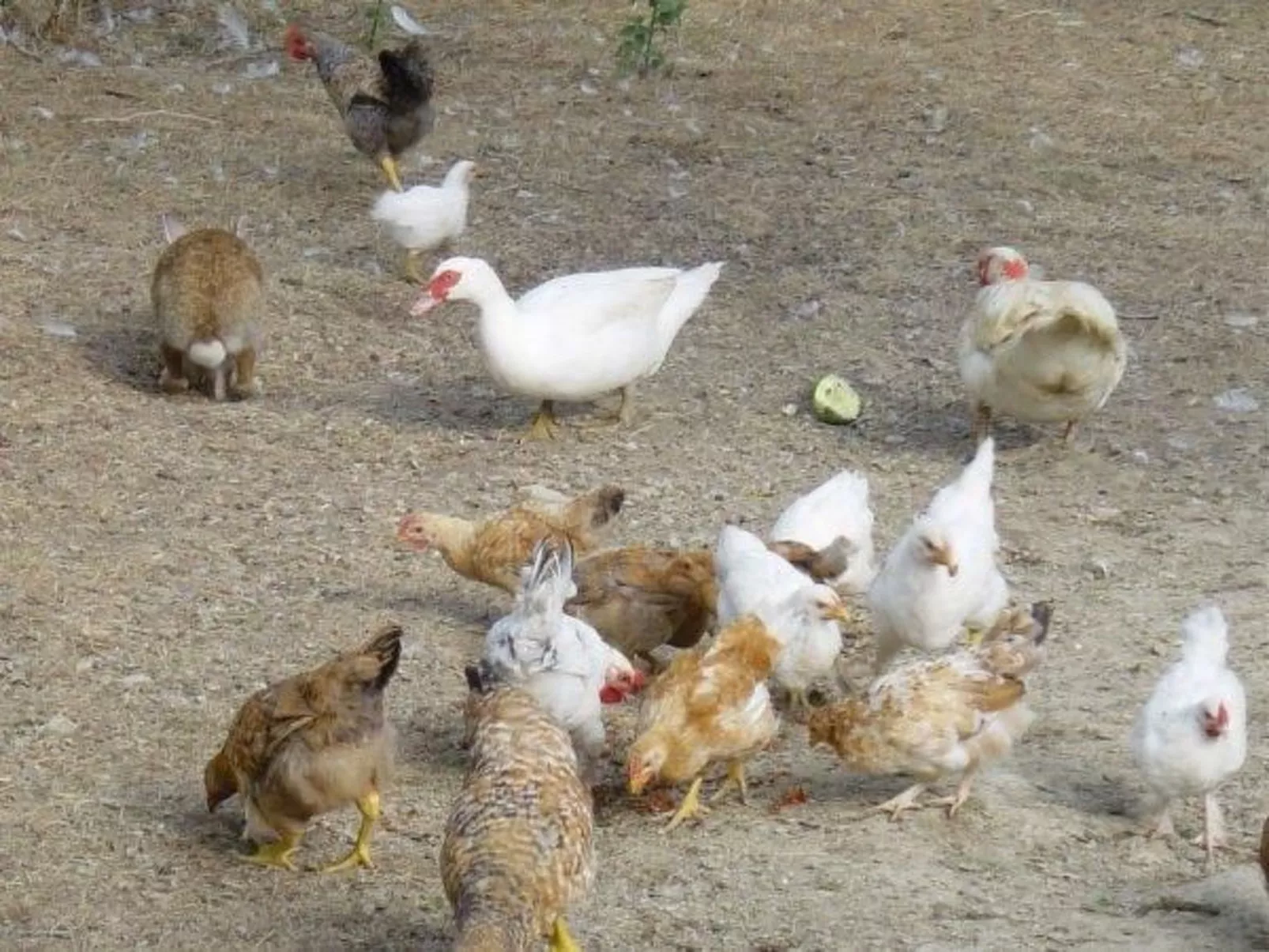 Intero Agriturismo-Buiten