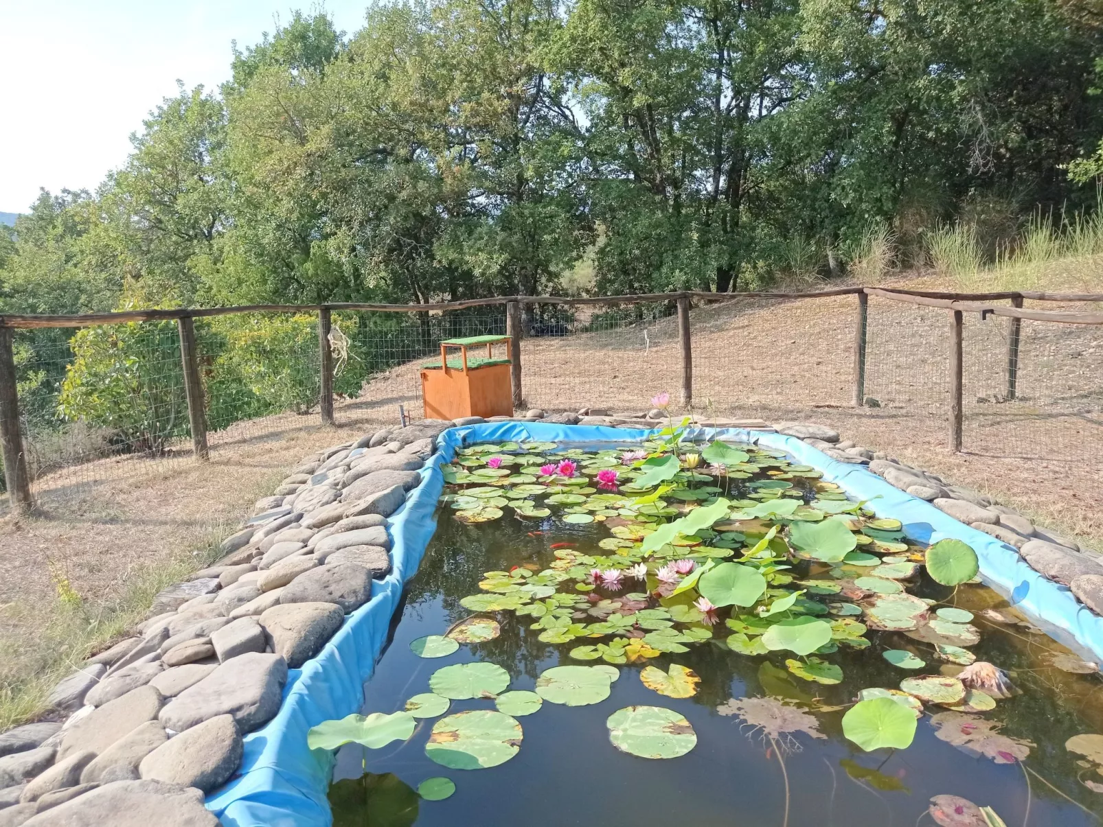 La Rosa Wohnung-Buiten