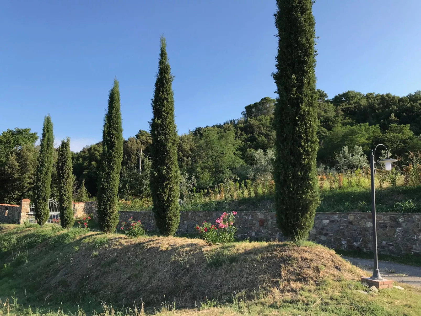 Podere Lo Zolfo-Buiten