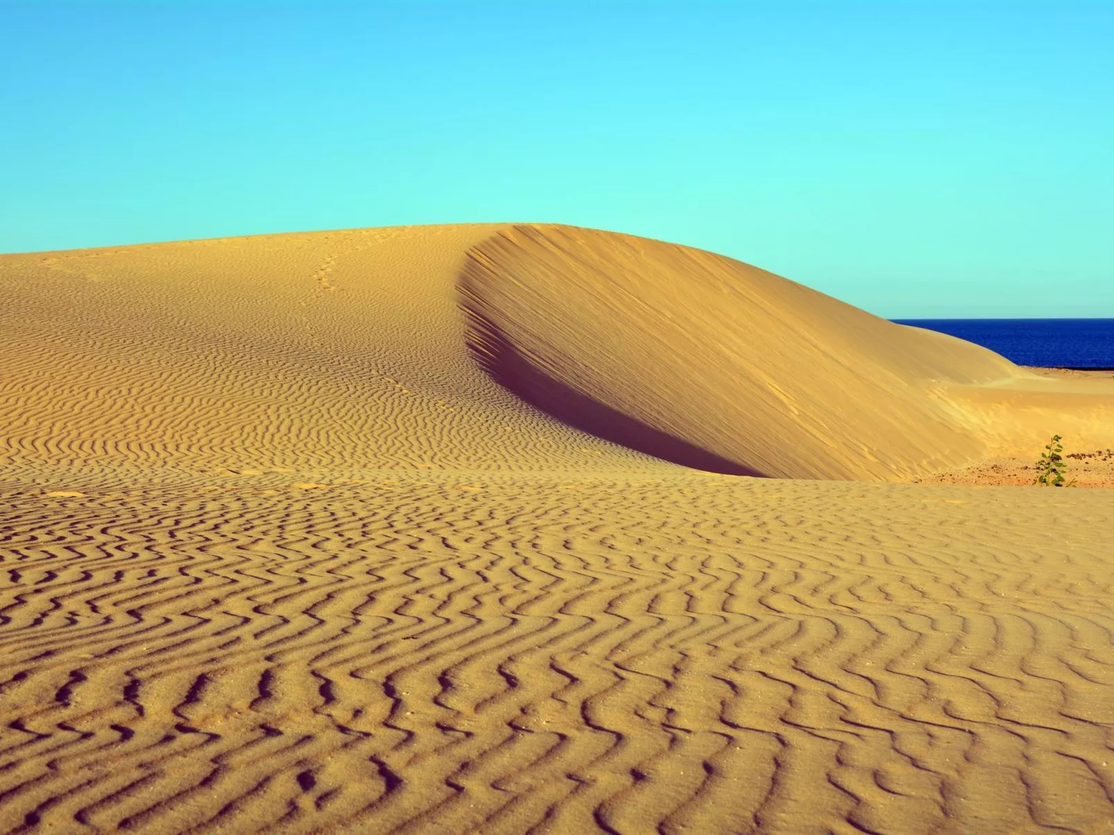 "Stilvoller Bungalow"-Buiten
