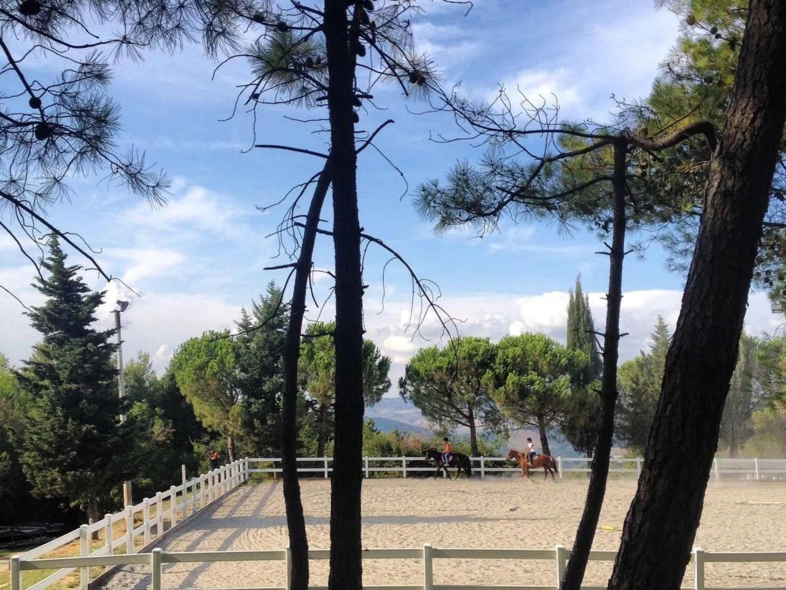 Wohnung "Villa Famiglia3" mit Pool-Buiten