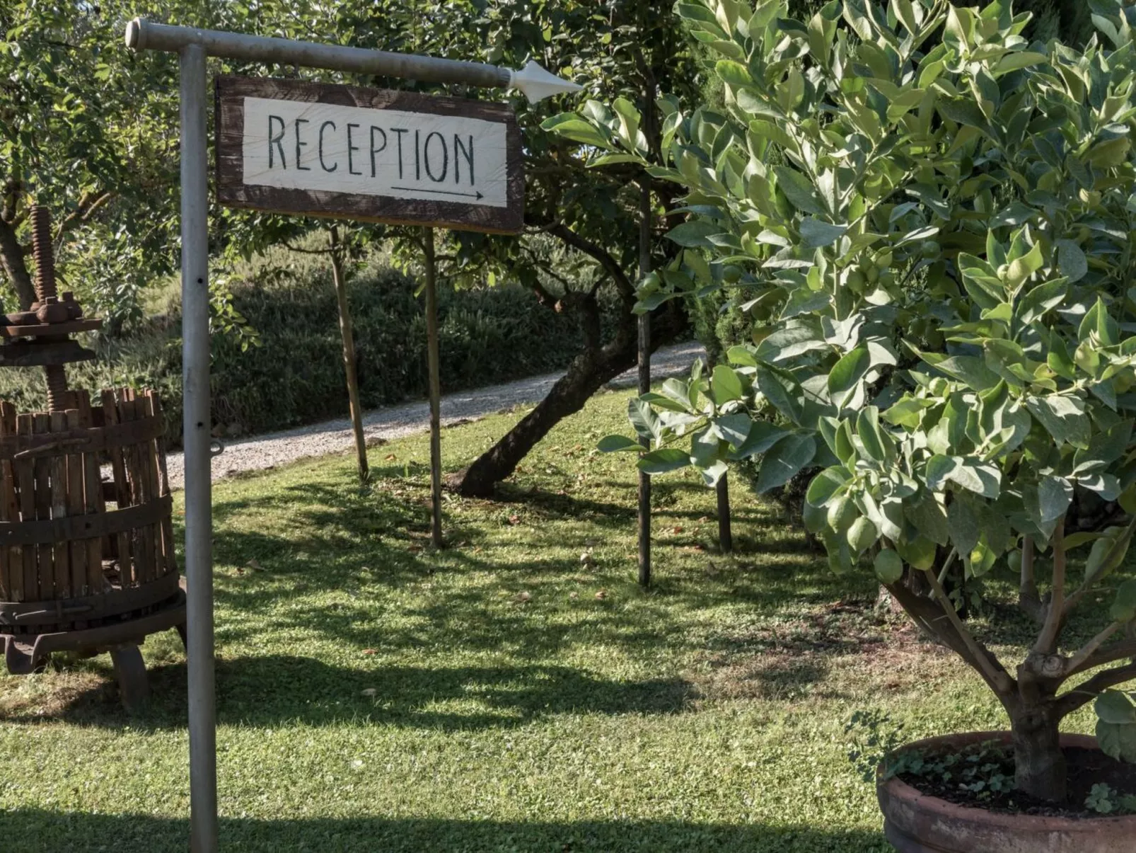 Wohnung Colle di Val d'Elsa-Buiten