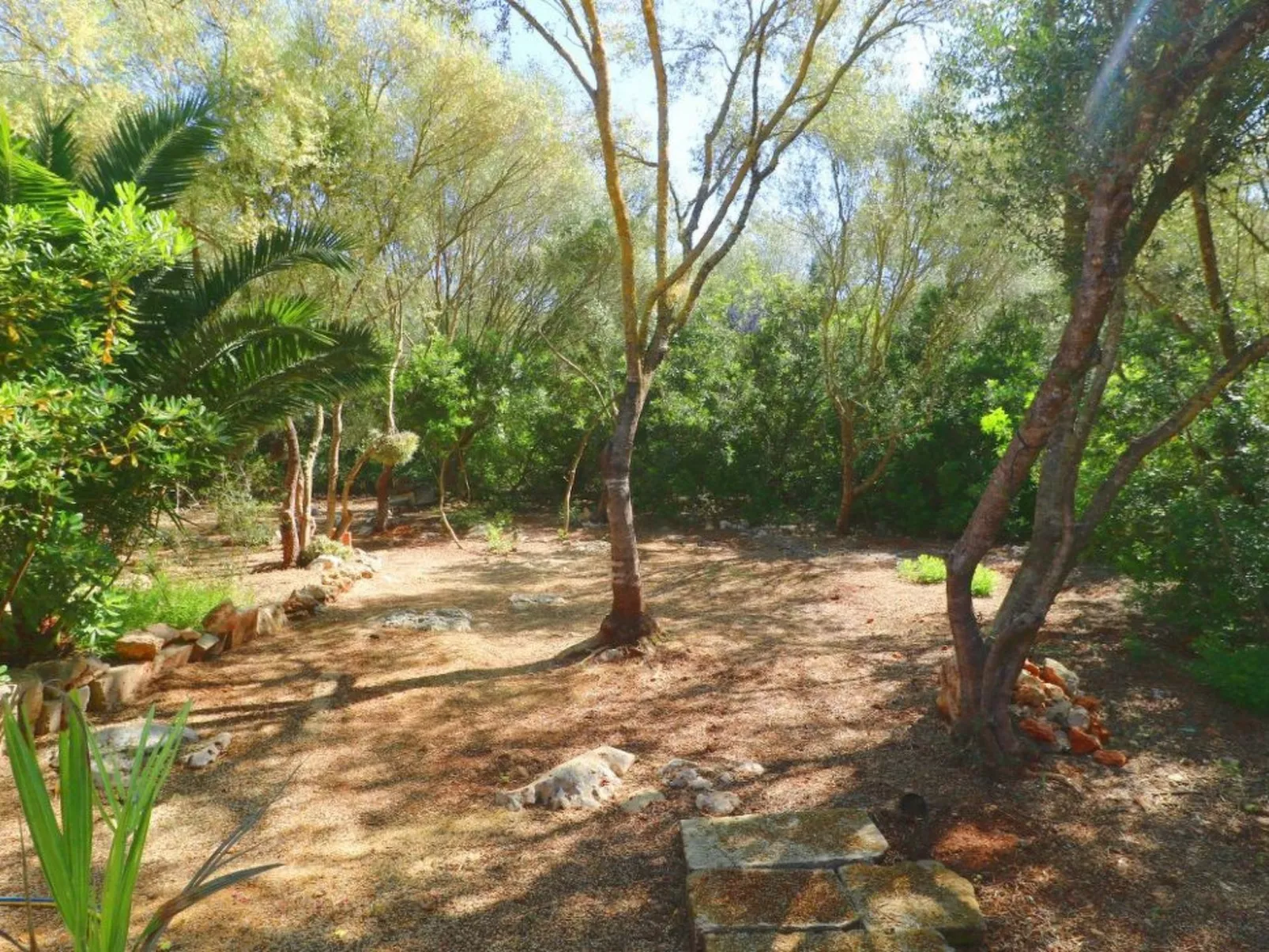 Finca Alfabia Campos-Buiten