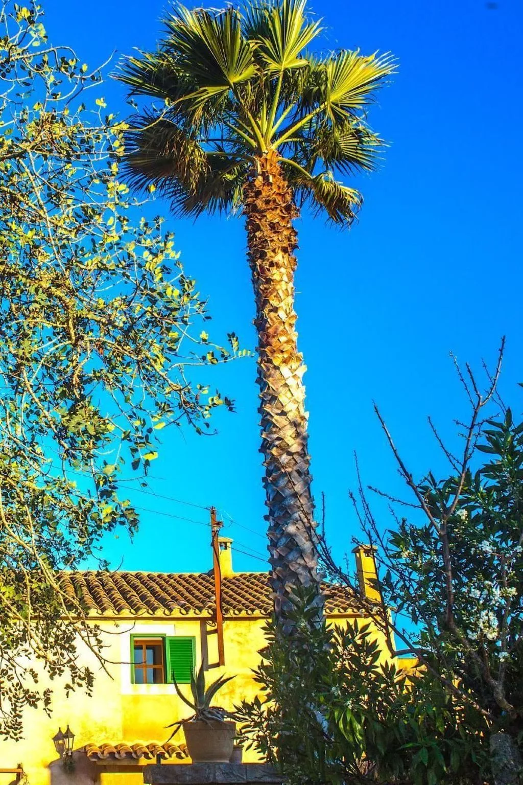 Finca Campino-Buiten