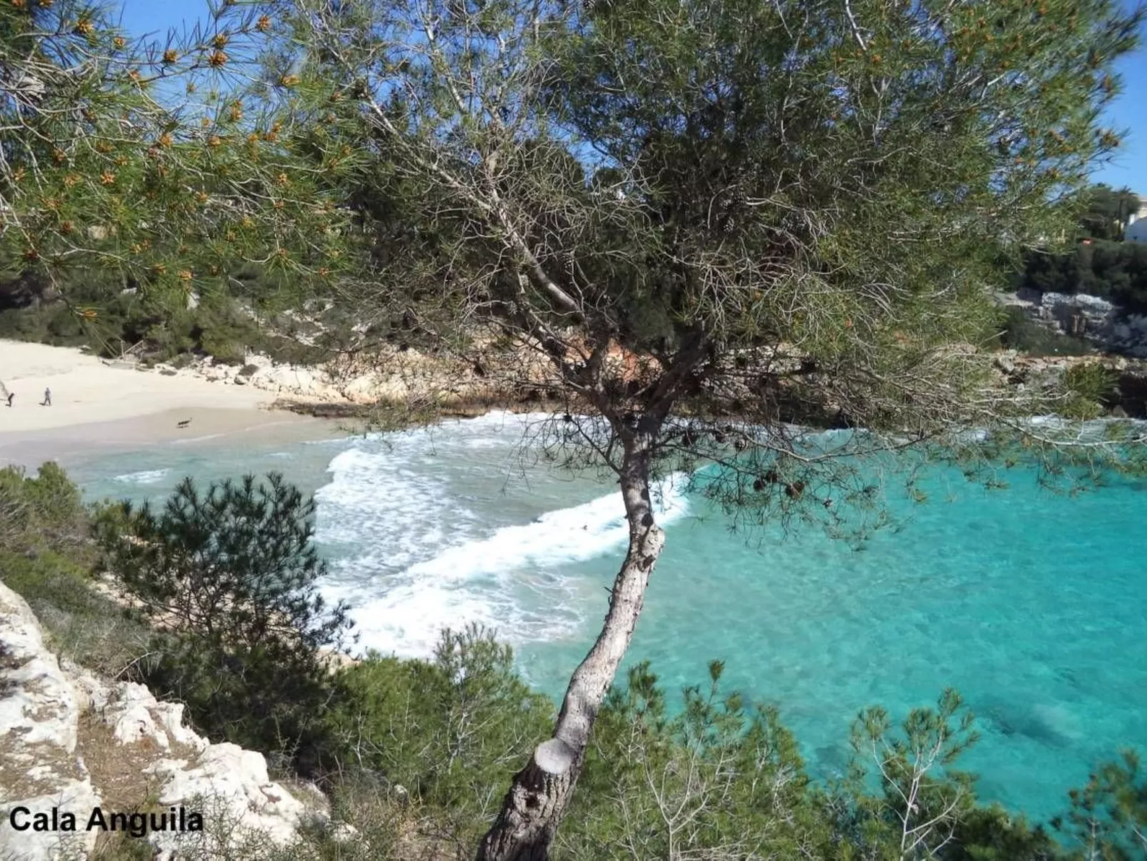 Villa "Cajmin" mit eigenem Schwimmbad-Image-tags.info