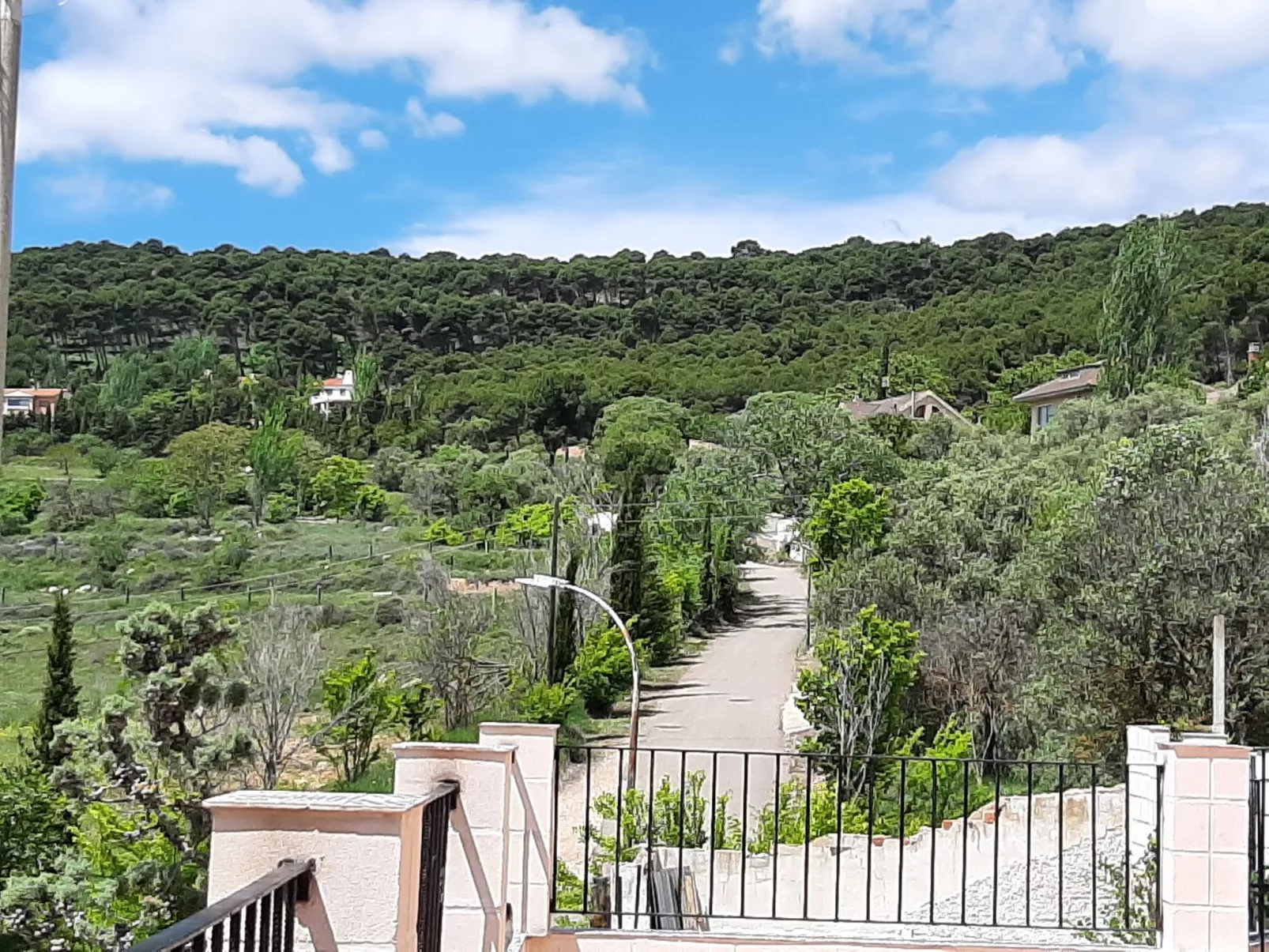 Weingut "Garnacha de Borja".-Image-tags.info