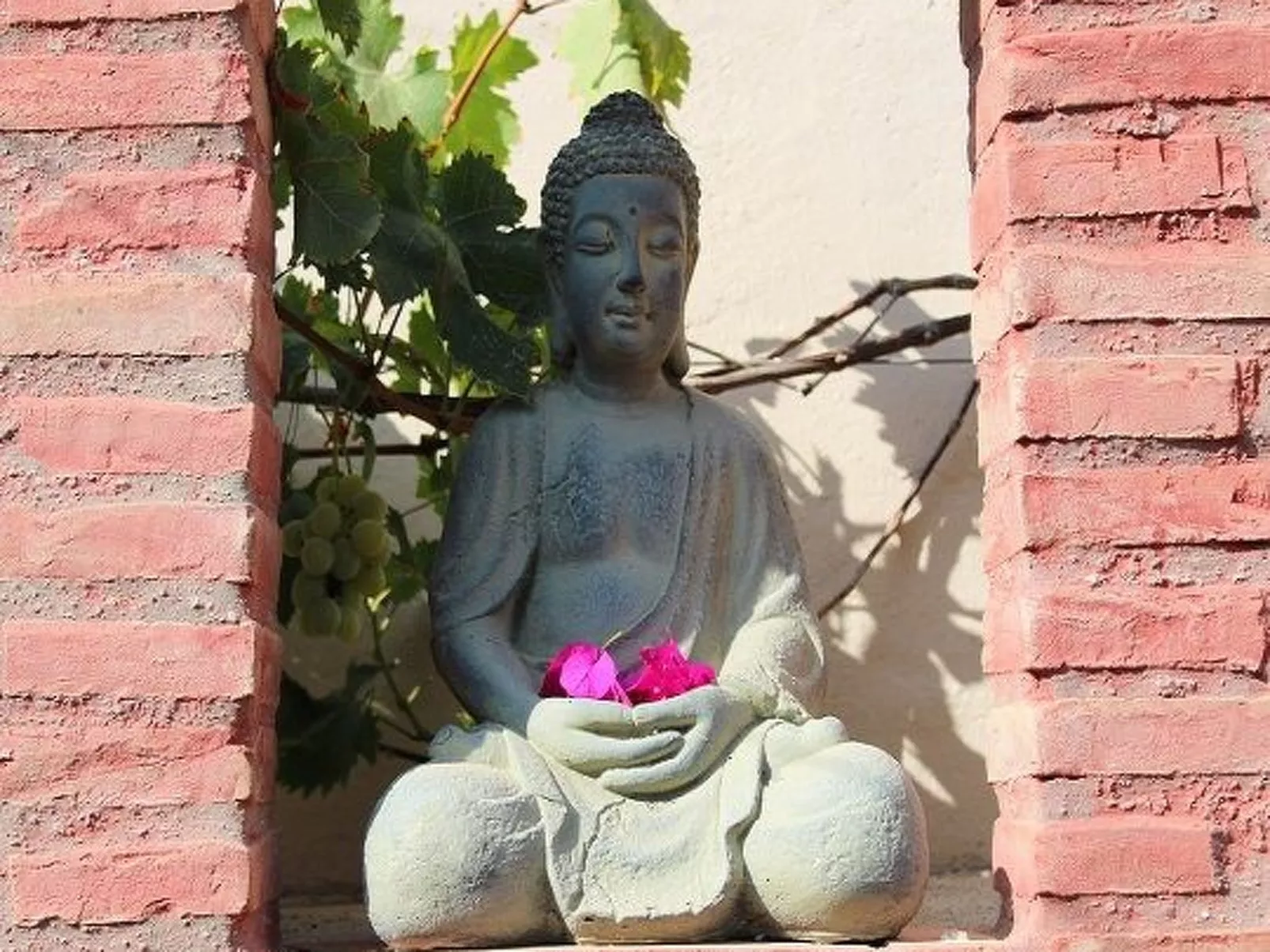 Casa Magdalena, Fincahaus, Hund erlaubt, Pool-Buiten