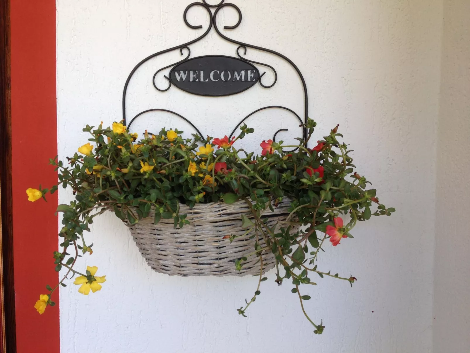 Gemütliches Appartement in Capoliveri mit Grill und Terrasse-Image-tags.info