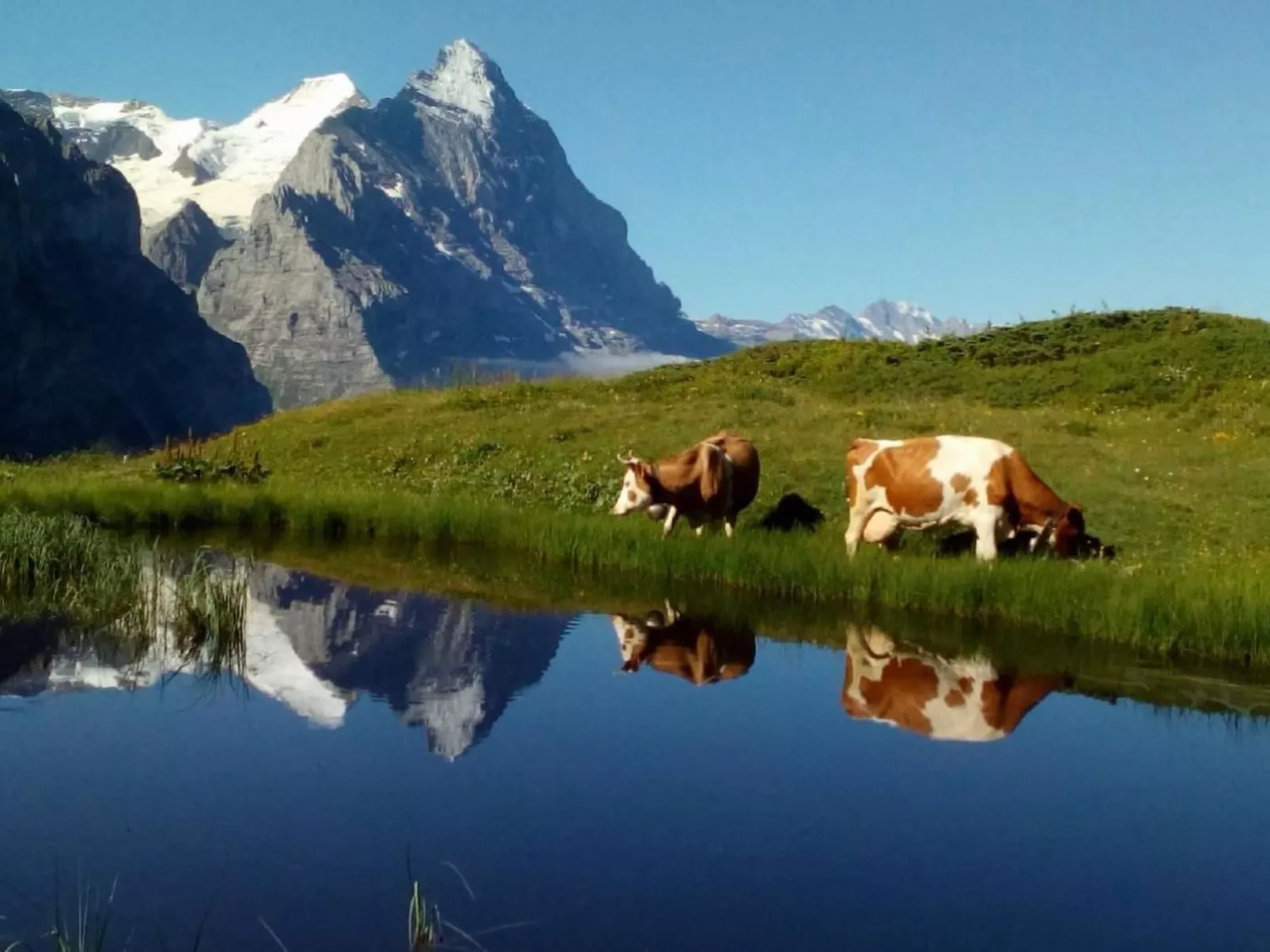 Bühlengasse 6-Image-tags.info