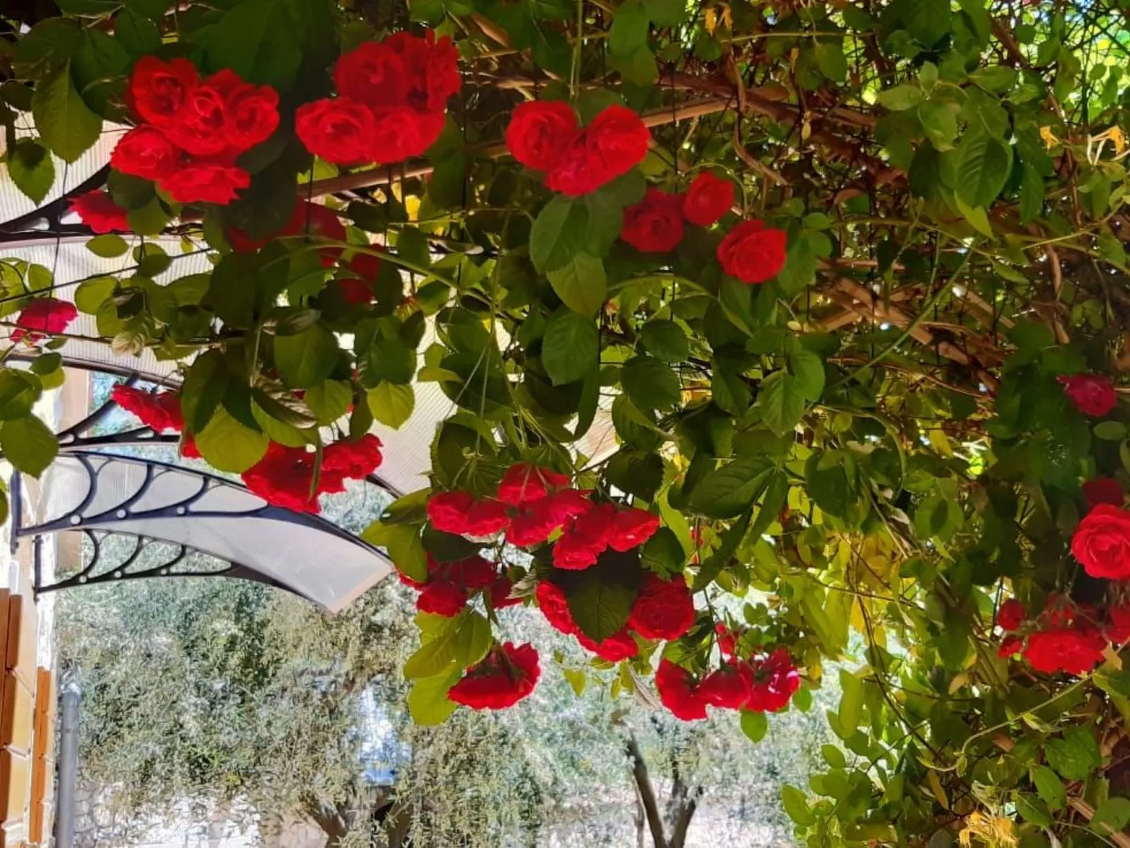 Mit schönem Garten und Sonnenterrasse-Buiten