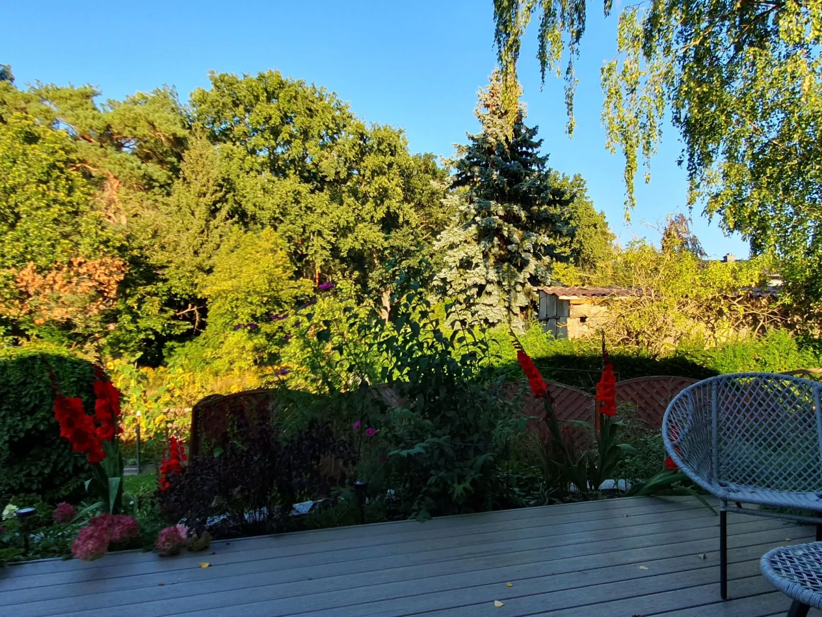 In Stolpe-Süd mit Grill und Garten-Image-tags.info