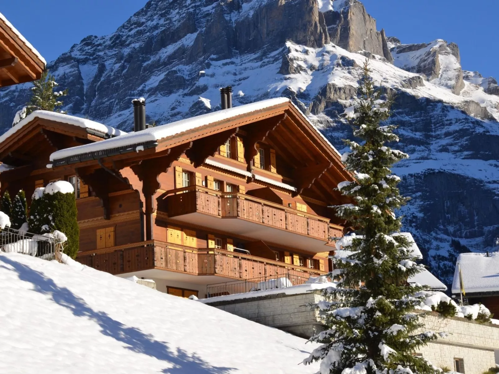 Apartment St. Louis 3.5-Image-tags.info