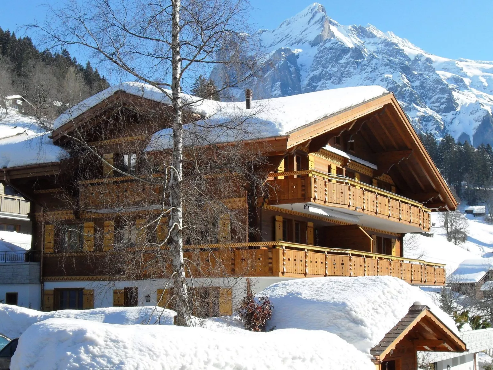 Apartment Alpenblume-Buiten