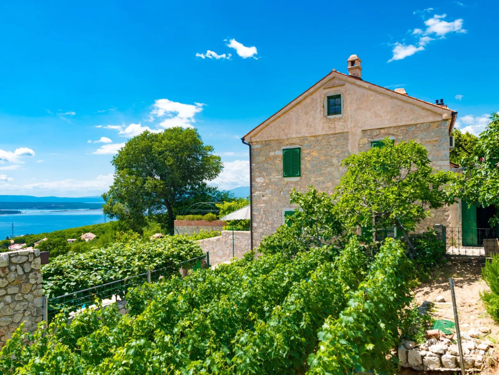 Villa Milka mit privatem Pool-Buiten