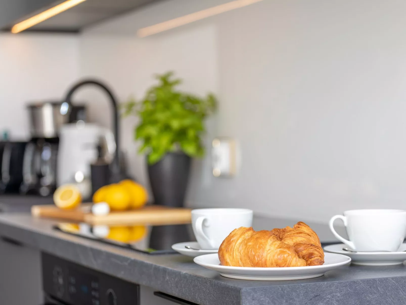 Premium-Ferienwohnung Golden Suite in Swinemünde-Image-tags.info