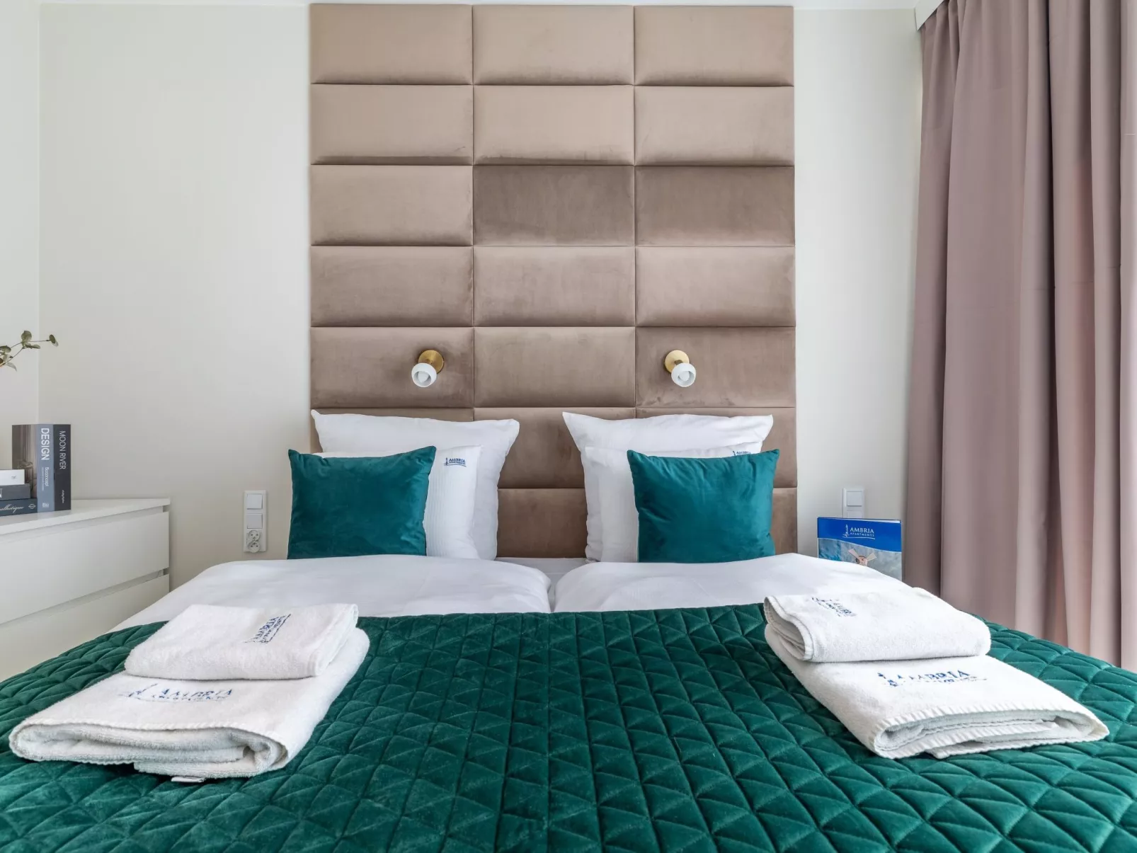 Lividus 137-Image-tags.info