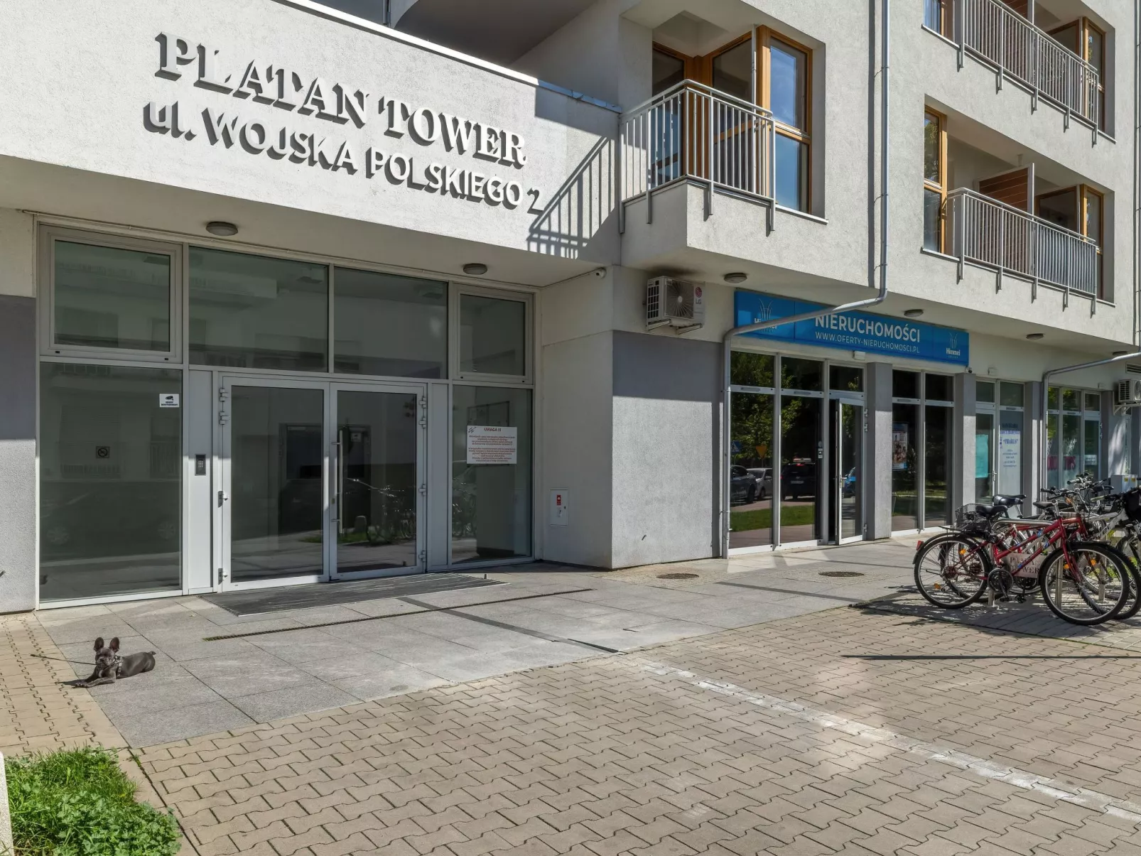 "Platan Tower 113"-Image-tags.info