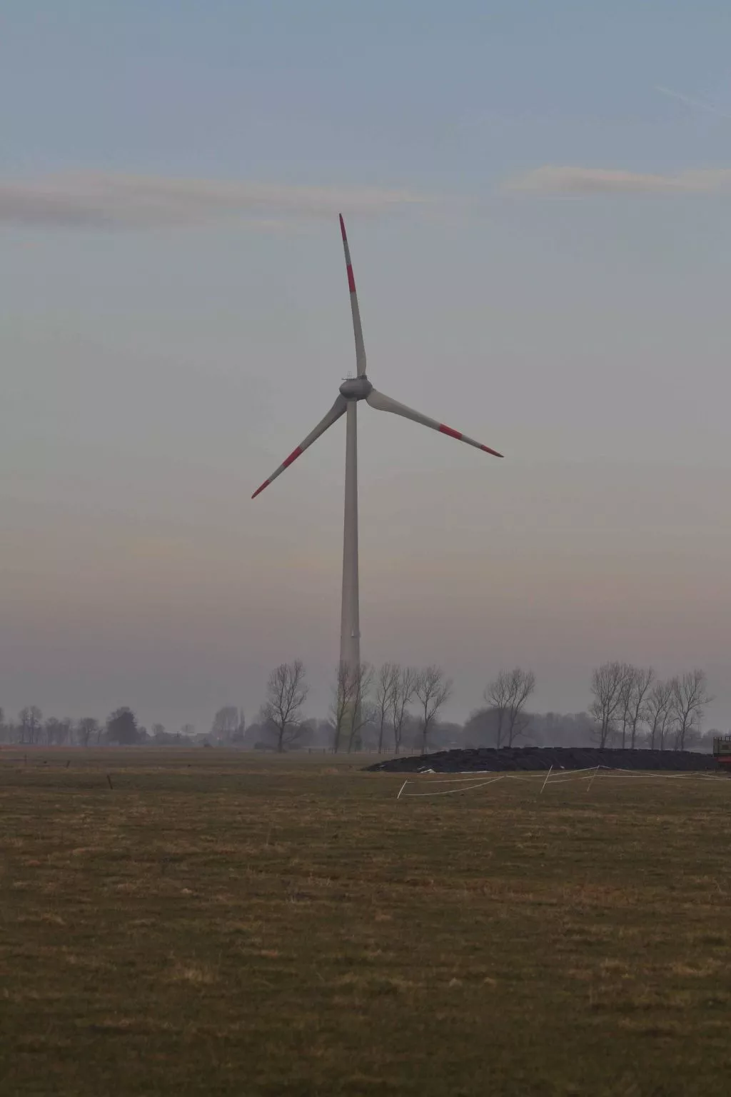 Seepferdchen-Image-tags.info