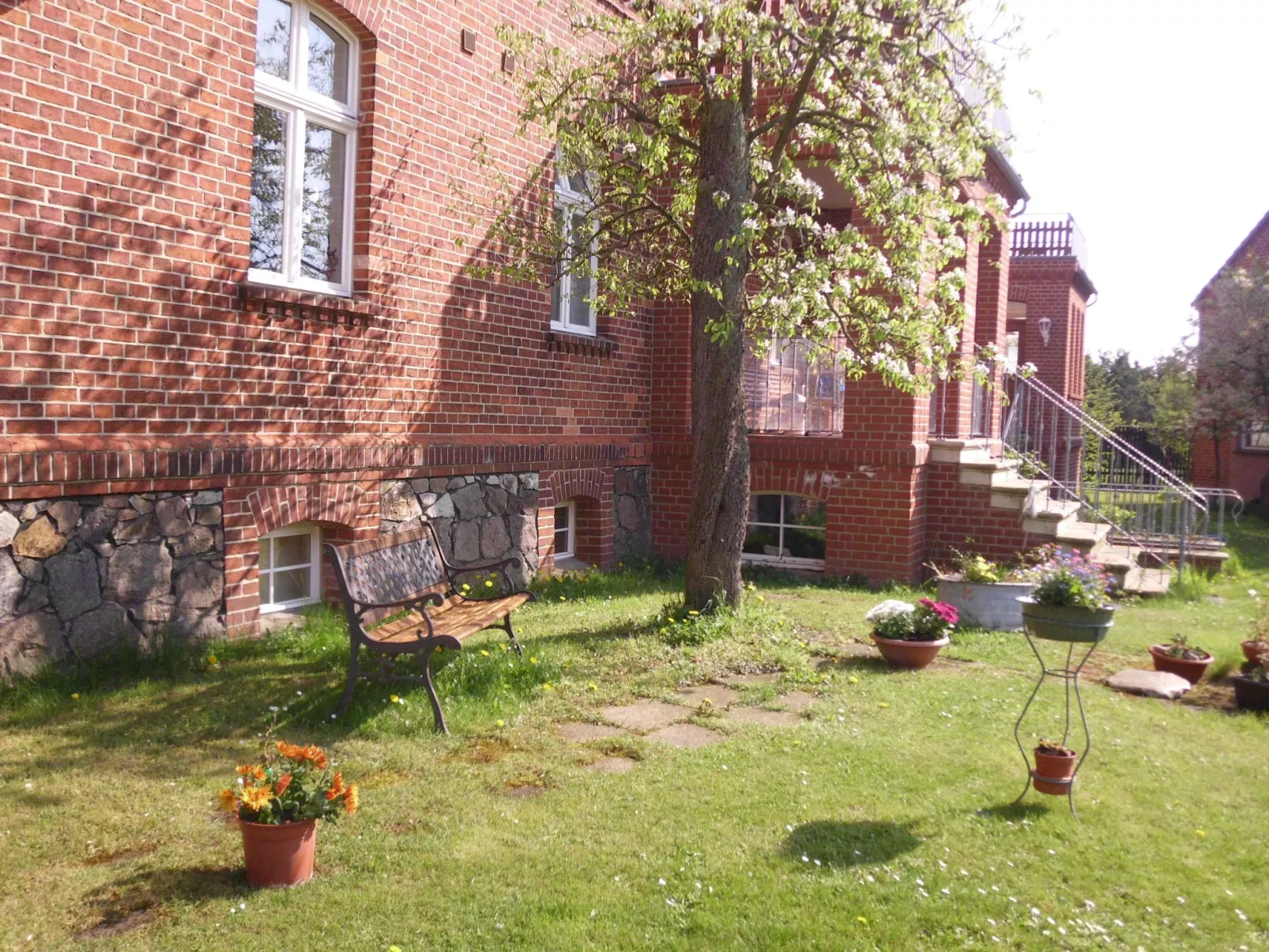 Rodd-Image-tags.info