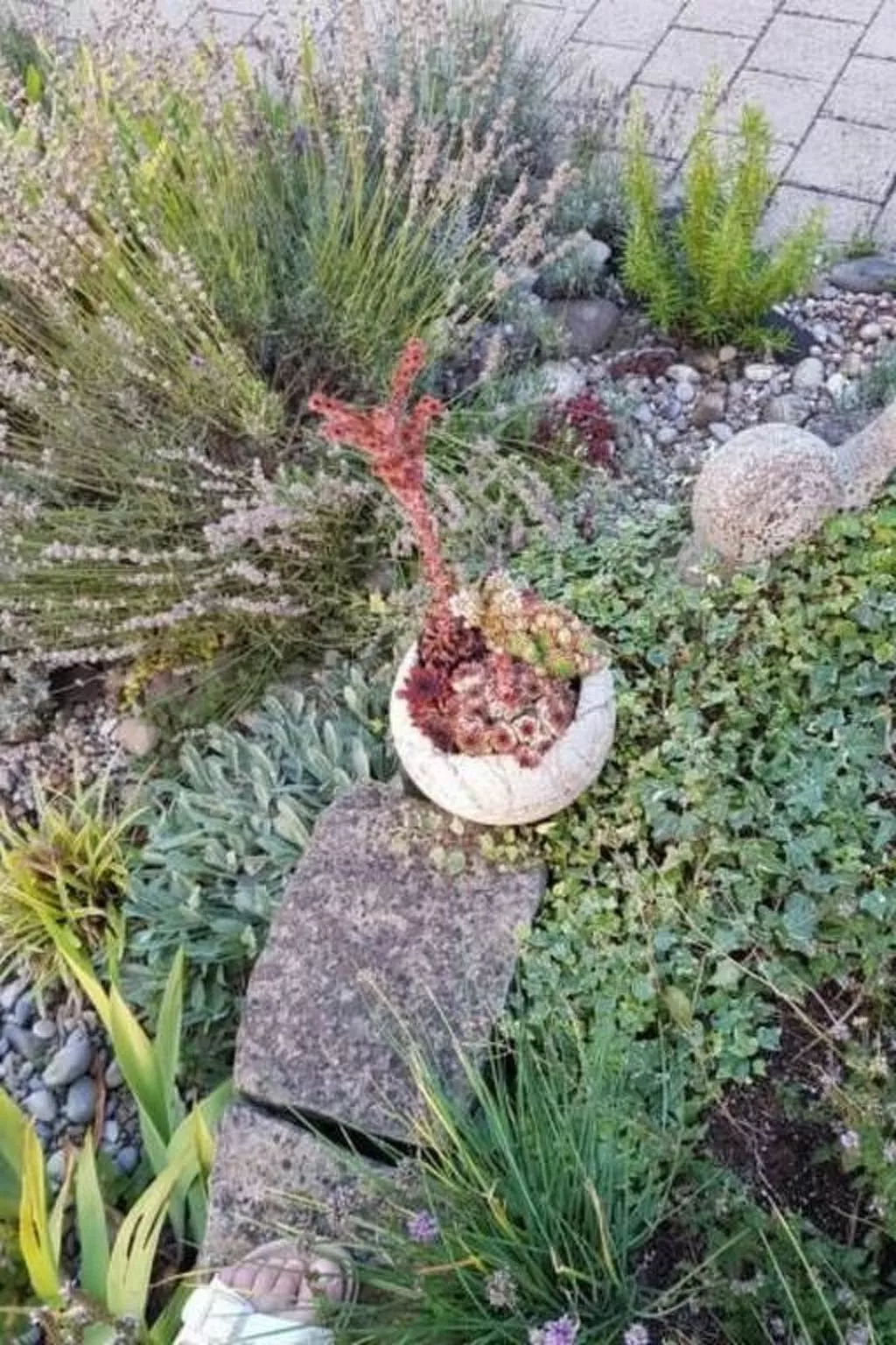 Pünthof-Image-tags.info