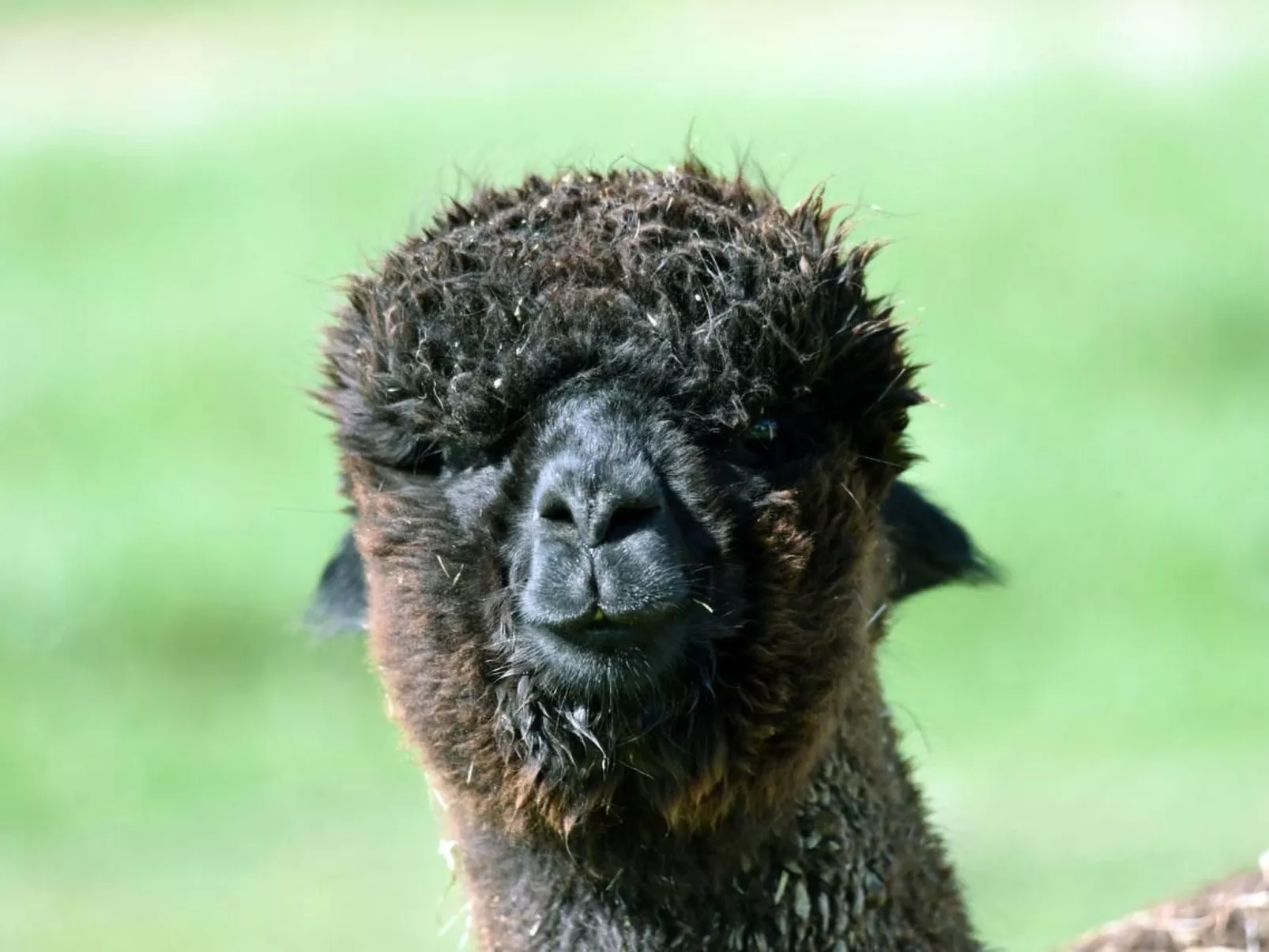 Haslers Hof-Image-tags.info