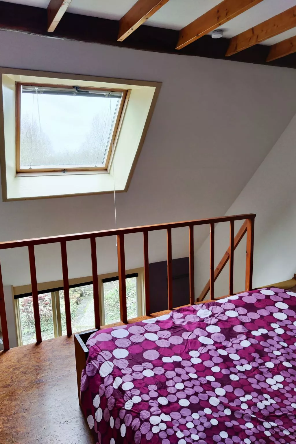 Appartement in Leeuwarden mit Privater Terrasse-Binnen