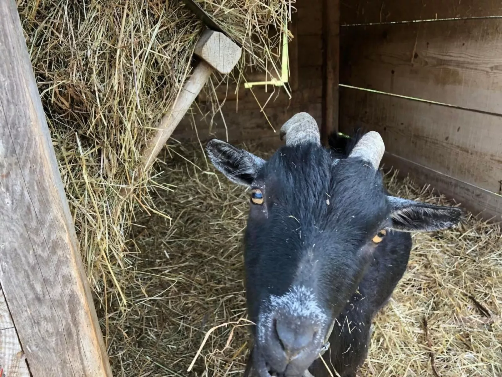 Sidlers Neuhof-Buiten