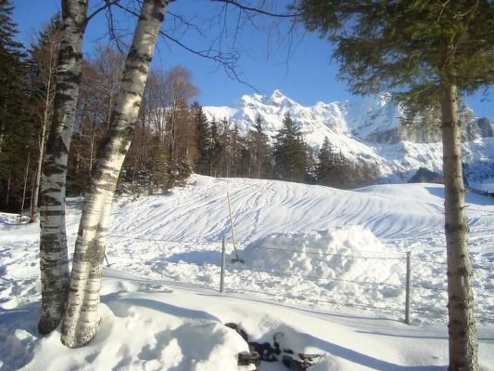 Ferien im grünen links-Buiten