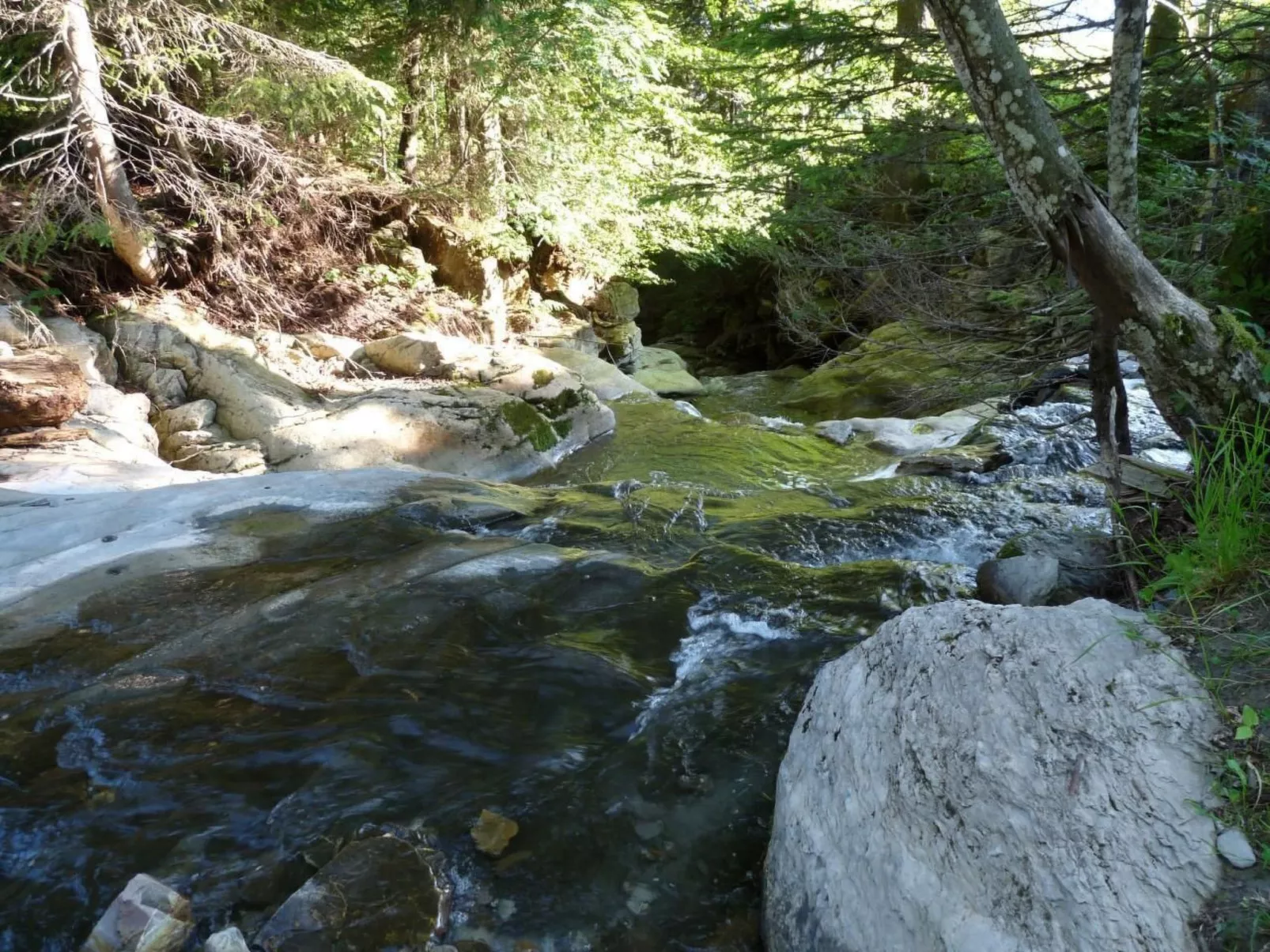 Bauernhof obere Fraumatt-Buiten