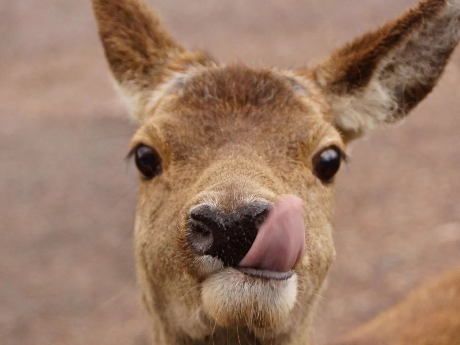 West Horizon Ferienhaus-Image-tags.info