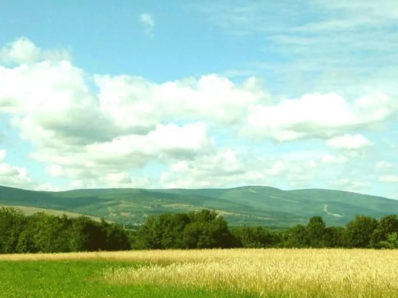 In Gajówka mit Terrasse und Garten-Buiten